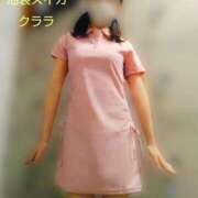 ヒメ日記 2025/07/31 16:48 投稿 クララ スイカ