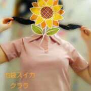 ヒメ日記 2025/07/31 18:45 投稿 クララ スイカ