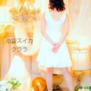 ヒメ日記 2025/08/04 06:15 投稿 クララ スイカ