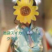 ヒメ日記 2025/08/06 17:30 投稿 クララ スイカ