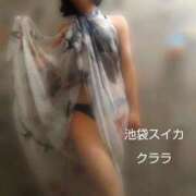 ヒメ日記 2025/08/12 13:00 投稿 クララ スイカ