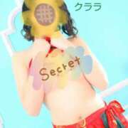 ヒメ日記 2025/08/12 23:30 投稿 クララ スイカ