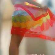 ヒメ日記 2025/08/14 19:15 投稿 クララ スイカ