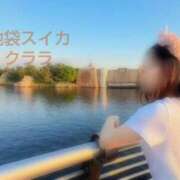 ヒメ日記 2025/08/18 14:30 投稿 クララ スイカ