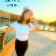 ヒメ日記 2025/08/24 15:15 投稿 クララ スイカ