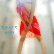 ヒメ日記 2025/08/25 02:00 投稿 クララ スイカ