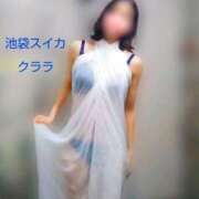 ヒメ日記 2025/09/08 03:01 投稿 クララ スイカ