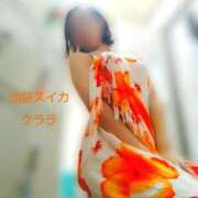 ヒメ日記 2025/09/16 16:01 投稿 クララ スイカ