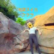 ヒメ日記 2025/09/17 15:42 投稿 クララ スイカ