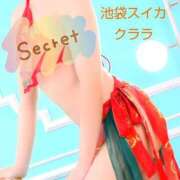 ヒメ日記 2025/09/19 02:53 投稿 クララ スイカ