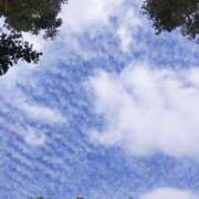 ヒメ日記 2025/10/10 14:15 投稿 クララ スイカ