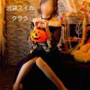 ヒメ日記 2025/10/12 15:15 投稿 クララ スイカ