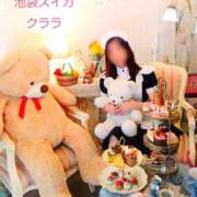 ヒメ日記 2025/10/12 20:01 投稿 クララ スイカ