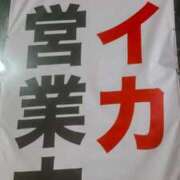 ヒメ日記 2025/10/13 01:14 投稿 クララ スイカ