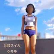 ヒメ日記 2025/10/13 10:56 投稿 クララ スイカ