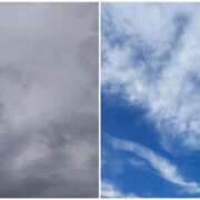 ヒメ日記 2025/10/14 15:02 投稿 クララ スイカ