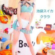 ヒメ日記 2025/10/15 09:45 投稿 クララ スイカ