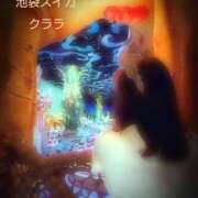 ヒメ日記 2025/10/16 15:41 投稿 クララ スイカ