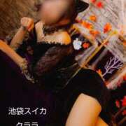 ヒメ日記 2025/10/17 10:39 投稿 クララ スイカ