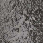 ヒメ日記 2025/10/19 15:15 投稿 クララ スイカ