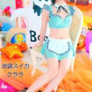 ヒメ日記 2025/10/20 16:00 投稿 クララ スイカ