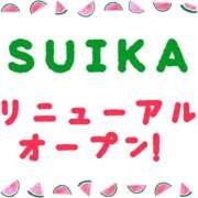 ヒメ日記 2025/10/21 08:01 投稿 クララ スイカ