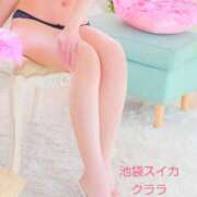 ヒメ日記 2025/10/21 14:45 投稿 クララ スイカ