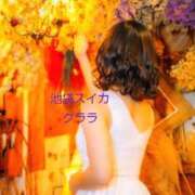 ヒメ日記 2025/10/21 21:30 投稿 クララ スイカ