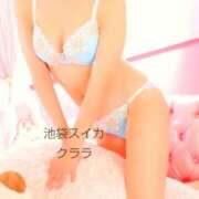 ヒメ日記 2025/10/23 09:35 投稿 クララ スイカ