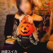 ヒメ日記 2025/10/25 12:15 投稿 クララ スイカ