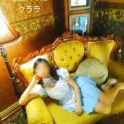 ヒメ日記 2025/10/25 15:15 投稿 クララ スイカ