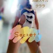 ヒメ日記 2025/10/26 14:01 投稿 クララ スイカ