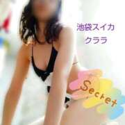 ヒメ日記 2025/10/27 10:24 投稿 クララ スイカ