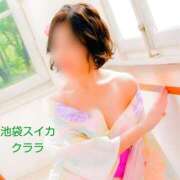 ヒメ日記 2025/10/27 18:28 投稿 クララ スイカ