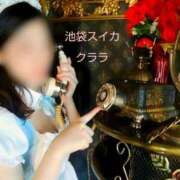 ヒメ日記 2025/10/29 08:31 投稿 クララ スイカ