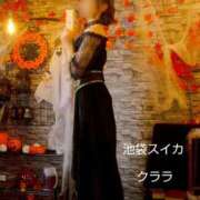 ヒメ日記 2025/10/29 10:02 投稿 クララ スイカ