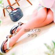 ヒメ日記 2025/10/29 16:28 投稿 クララ スイカ