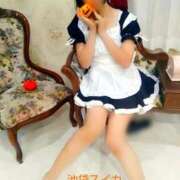 ヒメ日記 2025/10/30 12:08 投稿 クララ スイカ