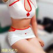 ヒメ日記 2025/10/30 17:12 投稿 クララ スイカ