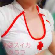 ヒメ日記 2025/10/31 01:55 投稿 クララ スイカ