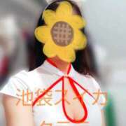 ヒメ日記 2025/10/31 14:46 投稿 クララ スイカ