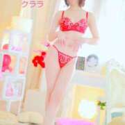 ヒメ日記 2025/11/01 08:02 投稿 クララ スイカ