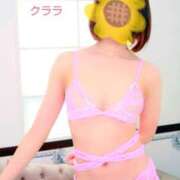 ヒメ日記 2025/11/01 20:22 投稿 クララ スイカ