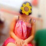 ヒメ日記 2025/11/02 13:12 投稿 クララ スイカ