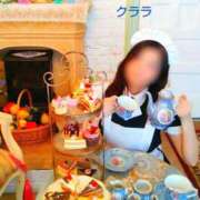 ヒメ日記 2025/11/03 21:22 投稿 クララ スイカ