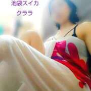 ヒメ日記 2025/11/04 11:05 投稿 クララ スイカ