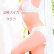 ヒメ日記 2025/11/05 20:10 投稿 クララ スイカ