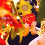 ヒメ日記 2025/11/06 15:15 投稿 クララ スイカ