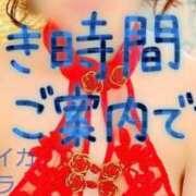 ヒメ日記 2025/11/06 20:34 投稿 クララ スイカ