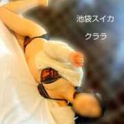 ヒメ日記 2025/11/08 21:47 投稿 クララ スイカ